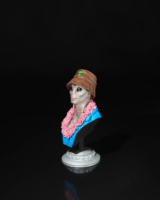 Alien tourist bust Steve