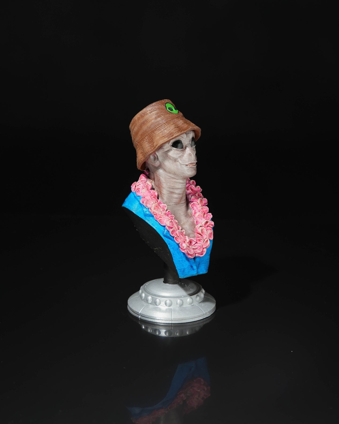 Alien tourist bust Steve