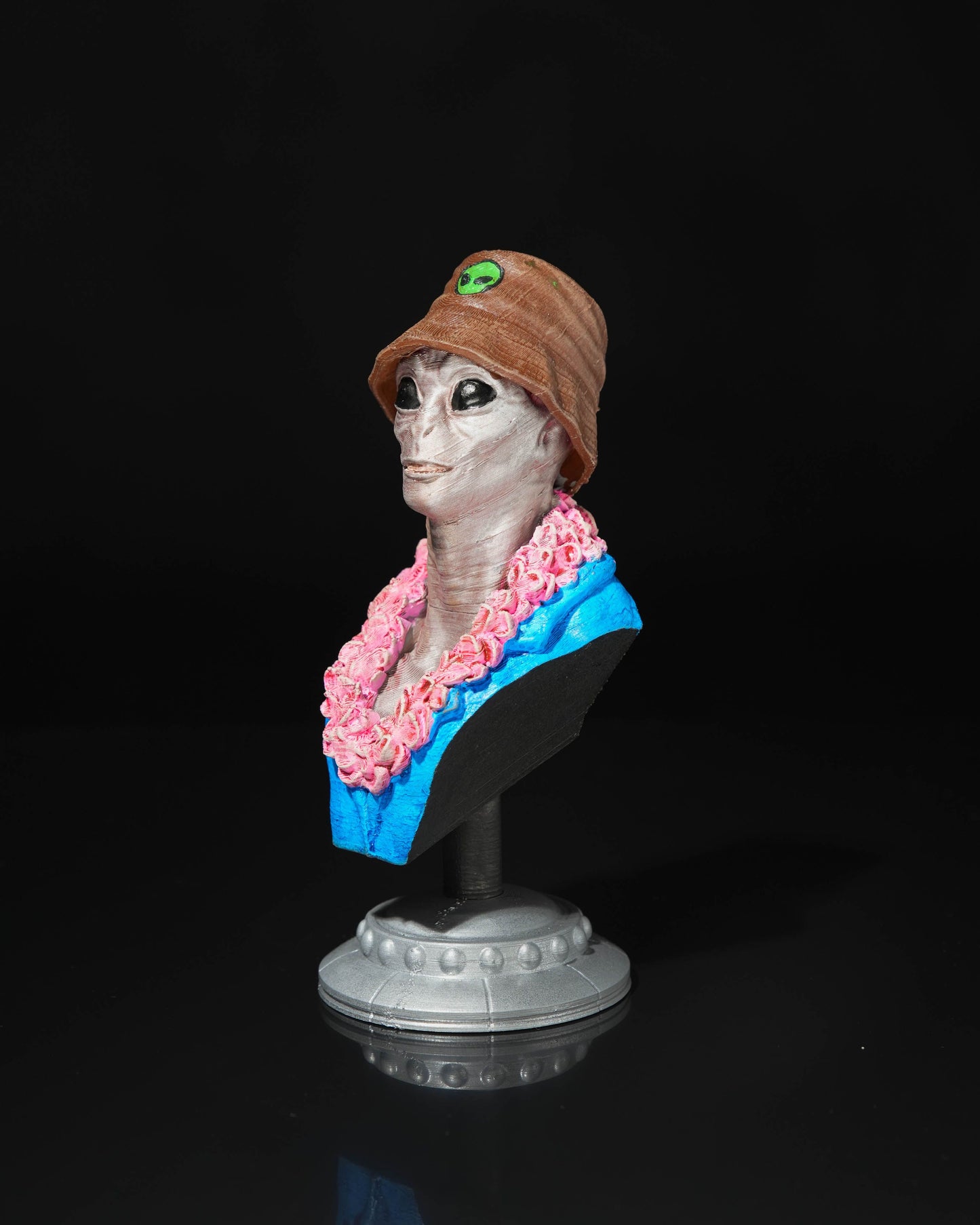 Alien tourist bust Steve