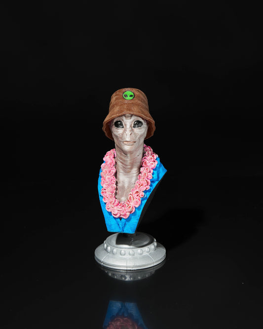 Alien tourist bust Steve